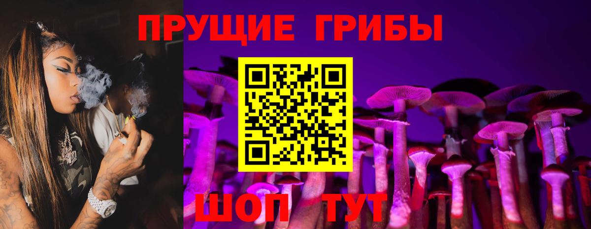 Галлюциногенные грибы Cubensis  Вход с VPN  Псилоцибиновые грибы Magic Shrooms  купить закладку  Новотроицк 